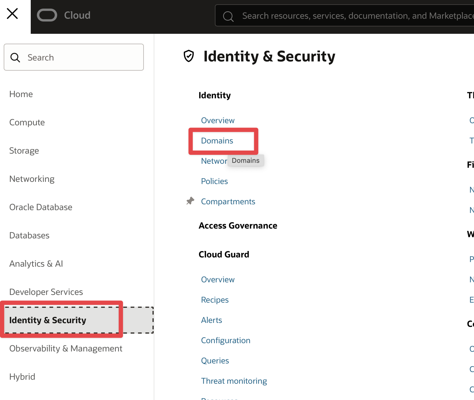 oci identity domain
